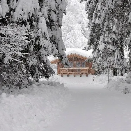 Appartamento Steiner Wald im Pinzgau