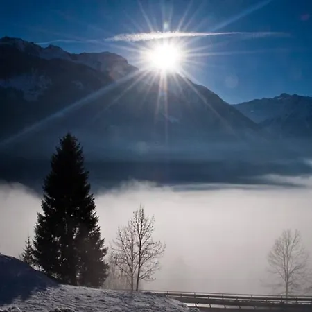 Appartamento Steiner